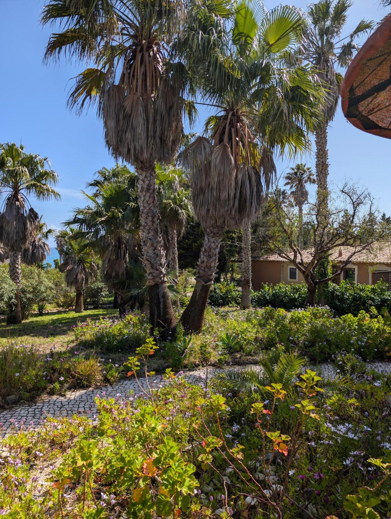 Quinta Do Mar - Country & Sea Village Luz المظهر الخارجي الصورة